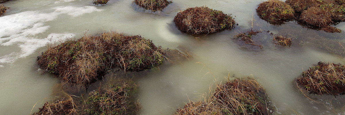 Partially frozen tundra in Chukotka, Russian Federation © Vladimir Yakovlev Partially frozen tundra in Chukotka, Russian Federation