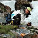 Lynn J. Gillespie