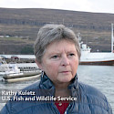 Kathy Kuletz