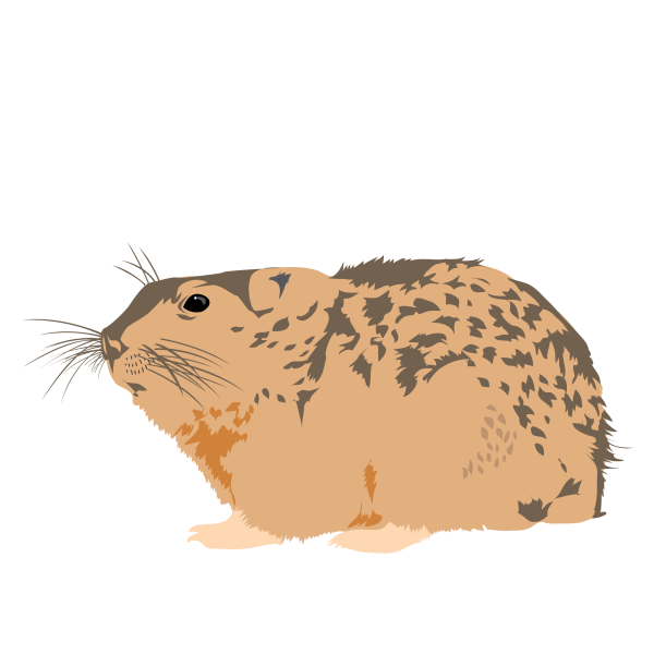 Lemming © Jose A. Sencianes Lemming